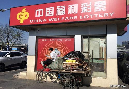 中国500彩票走势图,趋势分析及预测