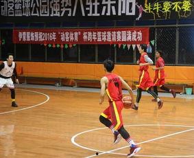 2016辽宁篮球比赛,巅峰对决与荣耀时刻