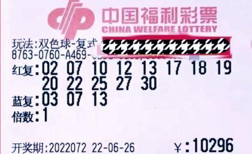 双色球场中篮球,激情碰撞，梦想起航