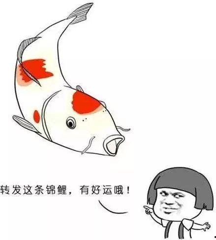 最高的幸运里,揭秘人生巅峰时刻的奥秘与启示