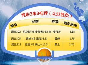 篮球彩票多少钱,每注仅需XX元，赢取丰厚奖金！
