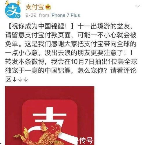 幸运中国网官网查询,探寻官网背后的精彩故事